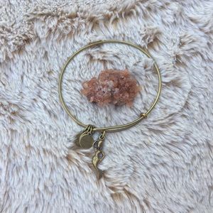 alex&ani mermaid bracelet ☾